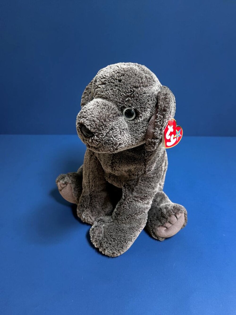 TY FRISBEE the DOG BEANIE BUDDY 10” 2002 Plush Soft Stuffed Animal Toy w/ Tag